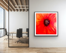 Load image into Gallery viewer, Suddenly, Ada Madison