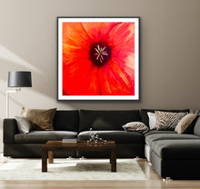 Load image into Gallery viewer, Suddenly, Ada Madison