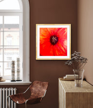 Load image into Gallery viewer, Suddenly, Ada Madison