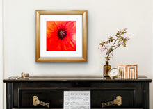 Load image into Gallery viewer, Suddenly, Ada Madison