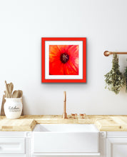 Load image into Gallery viewer, Suddenly, Ada Madison