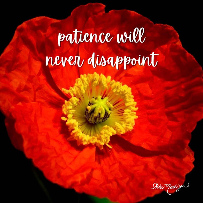 Patience will never disappoint!